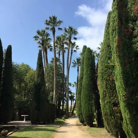 Apartment Penthouse La Californie Cannes
